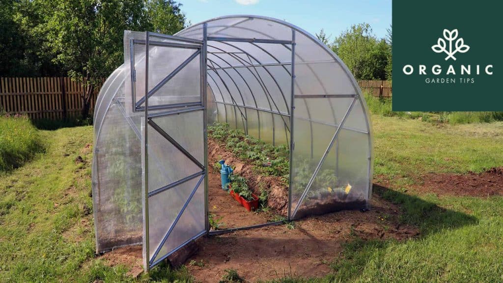 Maintain Your Greenhouse