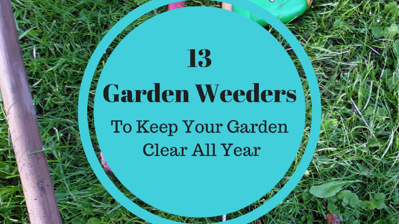 13 Weeders to Keep Your Garden Clear All Year