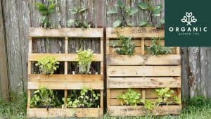 It’s Time to Upcycle Your Garden