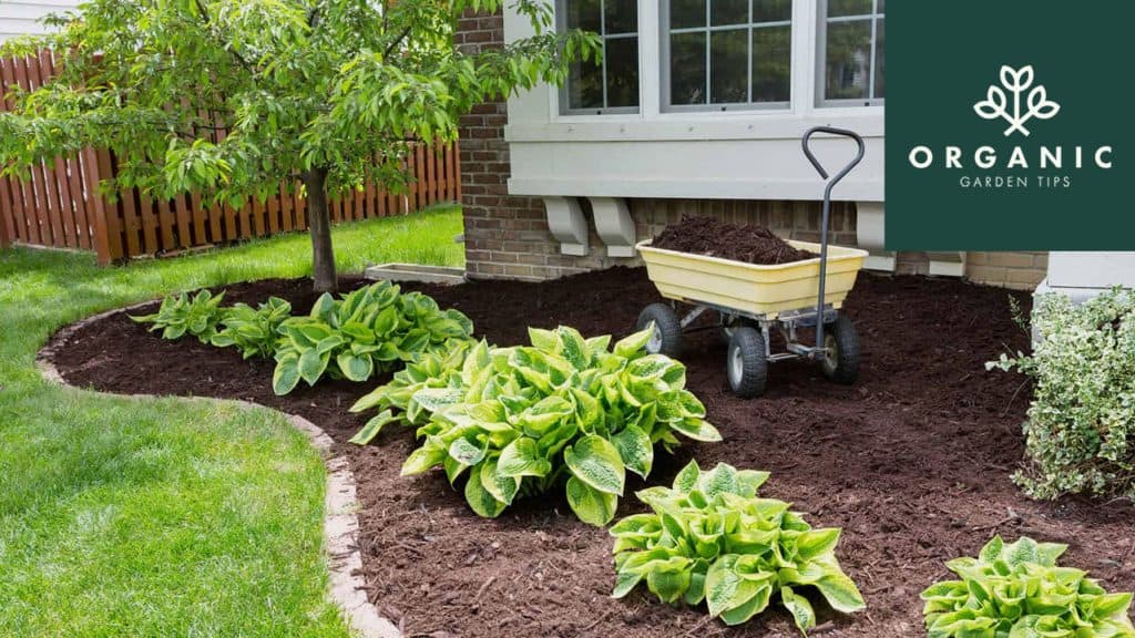 Best Garden Carts for Serious Gardeners